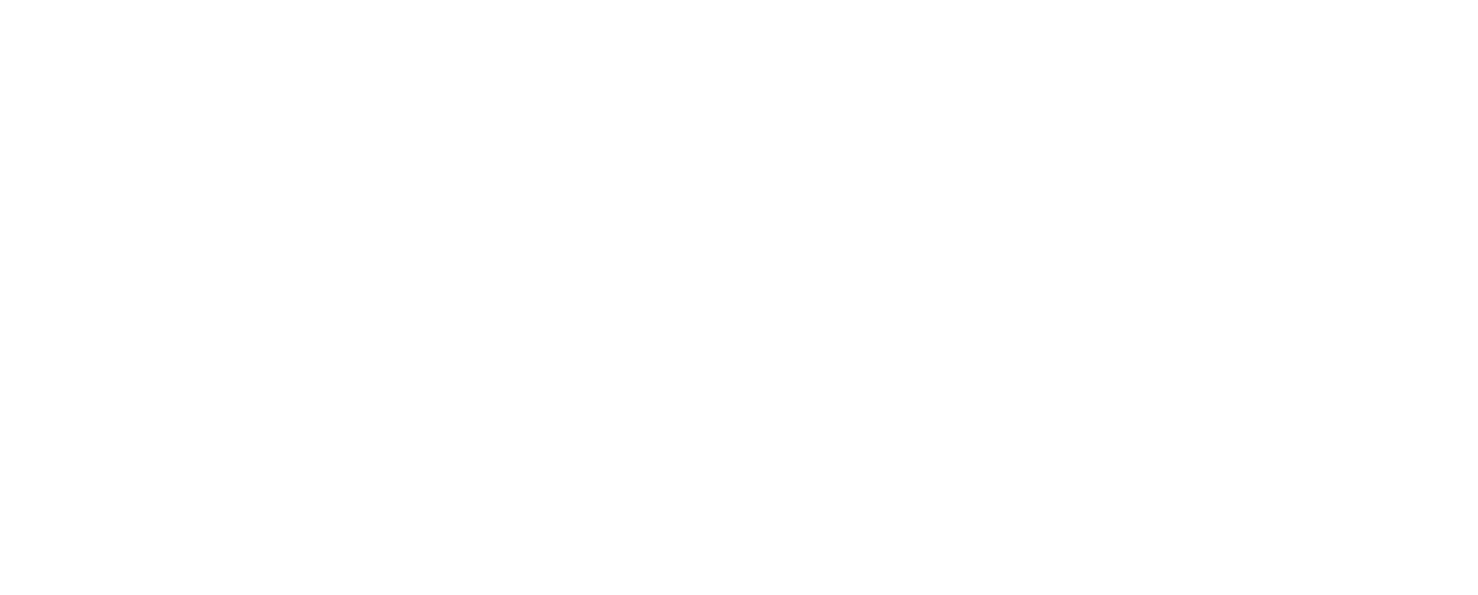 excelentLogo Logo