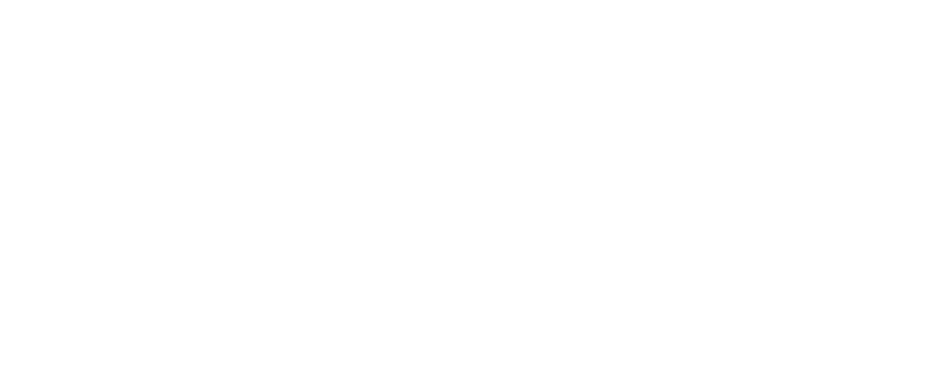 starexcelentLogo Logo